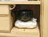 Soka Gakkai Furniture-style Buddhist Altar "Lancel" Acrylic Shrine Available in 2 Colors